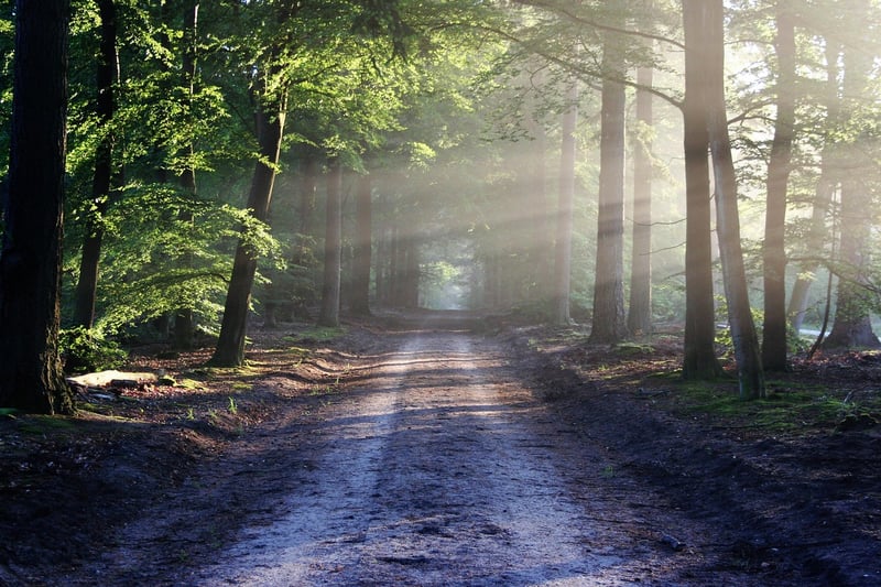 Off-Grid Trails